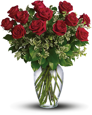 One Dozen Long Stemmed Red Roses