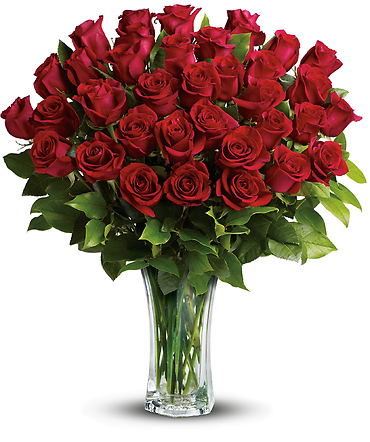 Two Dozen Long Stemmed Red Roses