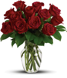 Classic One Dozen Red Roses