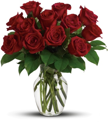 Classic One Dozen Red Roses
