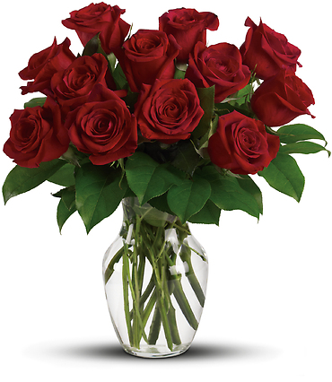 Classic One Dozen Red Roses