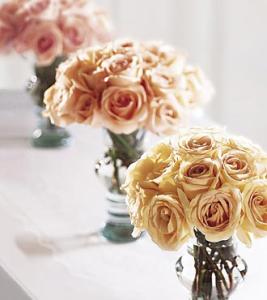 Dade City Florist Fl Flower Bonita
