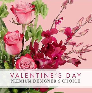 Premium Designer\'s Choice