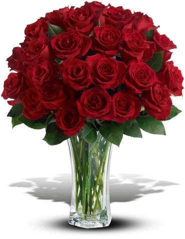 Two Dozen Long Stemmed Red Roses