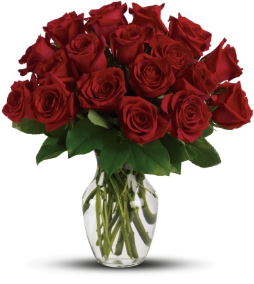 Classic One Dozen Red Roses
