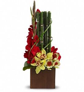 Dade City Florist Fl Flower Bonita Reception Flowers