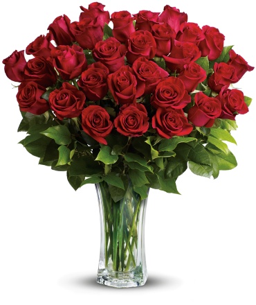 Two Dozen Long Stemmed Red Roses