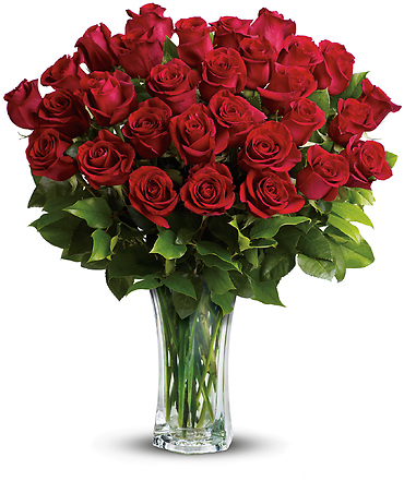Two Dozen Long Stemmed Red Roses
